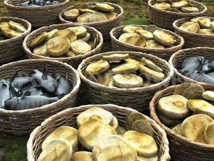 Leftover-loaves-and-fish