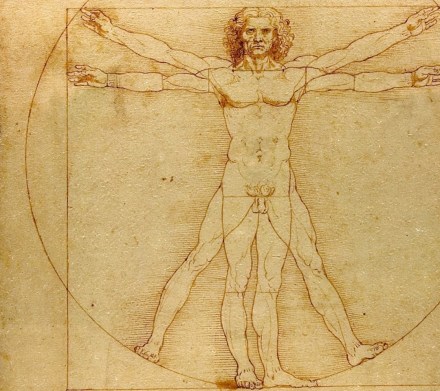 vitruvian_man_leonardo_da_vinc_1080x960_miscellaneoushi.com