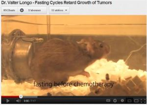 souris qui a jeûné avant la chimiothérapie