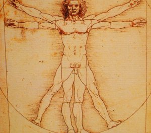 vitruvian 2