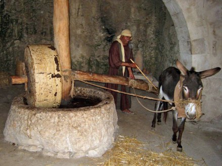 Presse d'huile d'olive