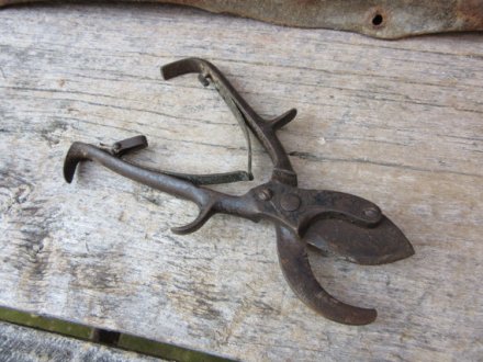 il_570xN.674113902_bwvm