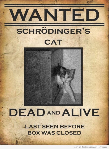 schrodinger-cat-wanted-poster-dead-alive-box