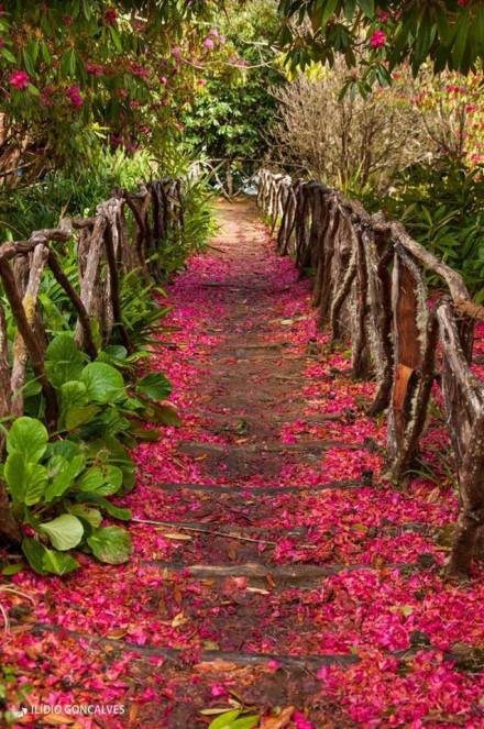 12193637_1641002639493711_3561144233520084754_n